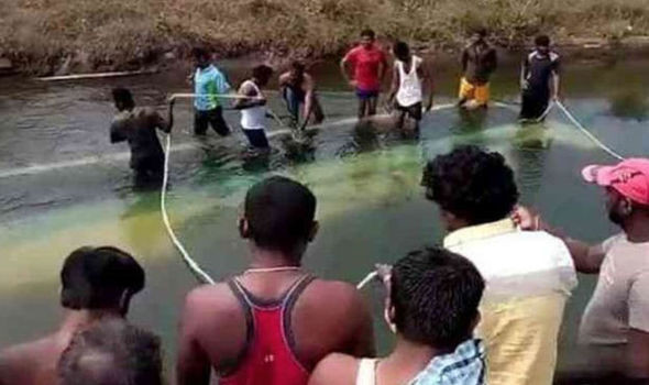 Xe buýt lao xuống sông ở Ấn Độ, ít nhất 28 người thiệt mạng ảnh 1