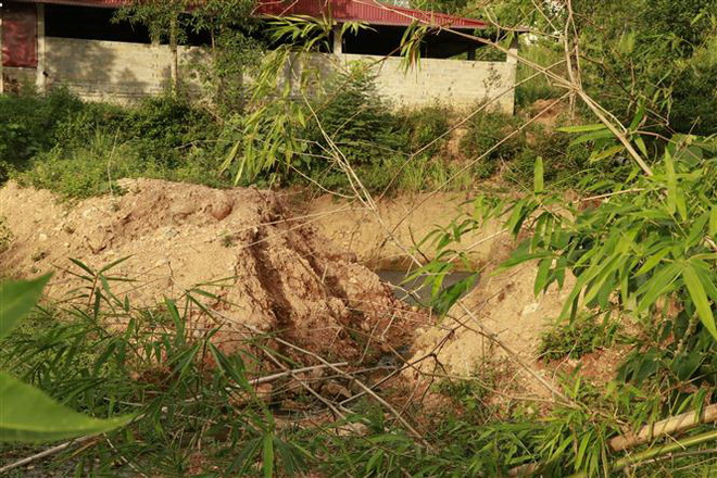 Người dân kiến nghị xử lý trại lợn gây ô nhiễm môi trường nhiều năm ảnh 2