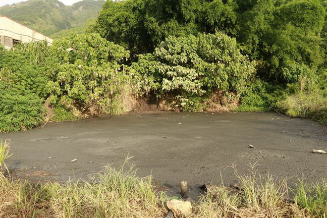 Người dân kiến nghị xử lý trại lợn gây ô nhiễm môi trường nhiều năm ảnh 1