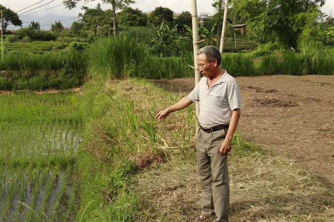 Người dân kiến nghị xử lý trại lợn gây ô nhiễm môi trường nhiều năm ảnh 3