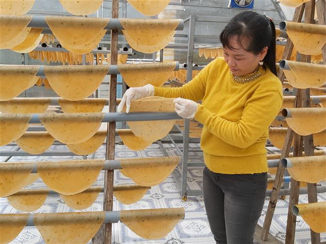 Thưởng thức hương vị đậm đà của bánh phồng tôm Đất Mũi ảnh 1