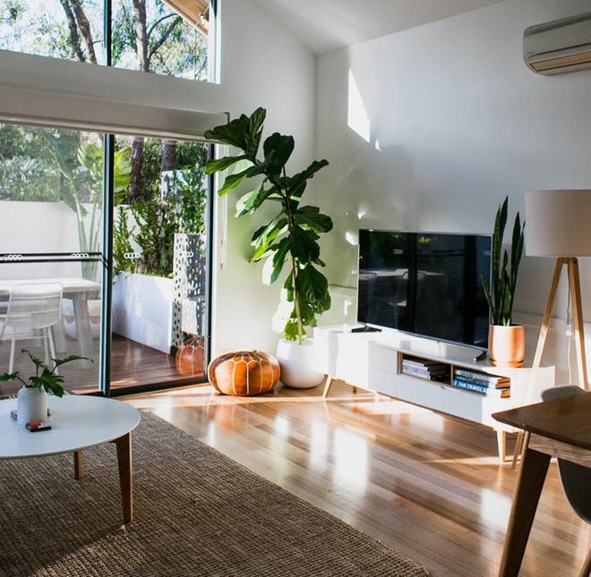 8 cách mang thiên nhiên vào nhà ngày càng được ưa chuộng ảnh 5