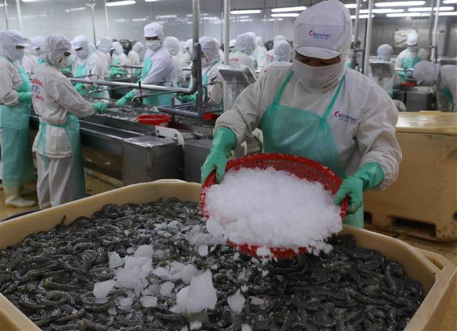 Giúp doanh nghiệp Việt Nam gia tăng xuất khẩu vào thị trường Algeria ảnh 2