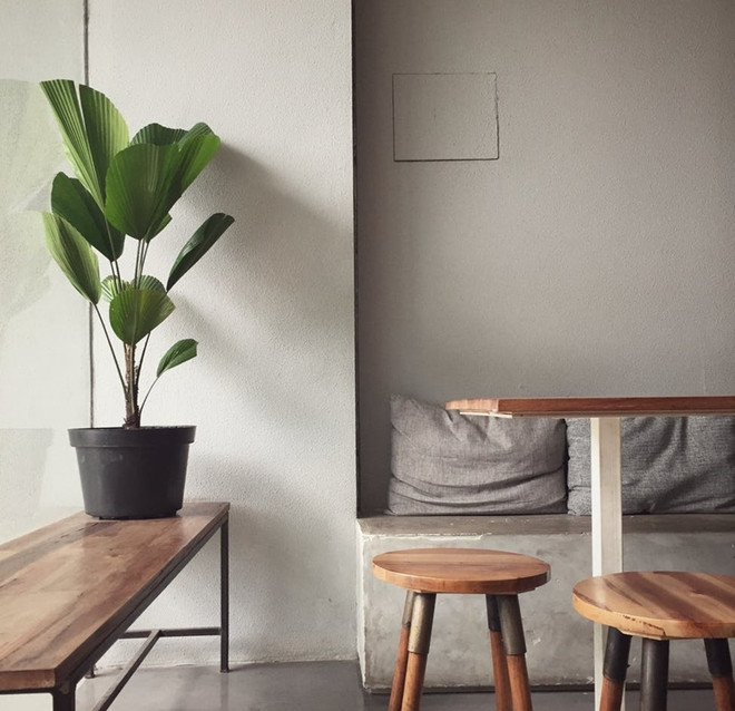 8 cách mang thiên nhiên vào nhà ngày càng được ưa chuộng ảnh 8