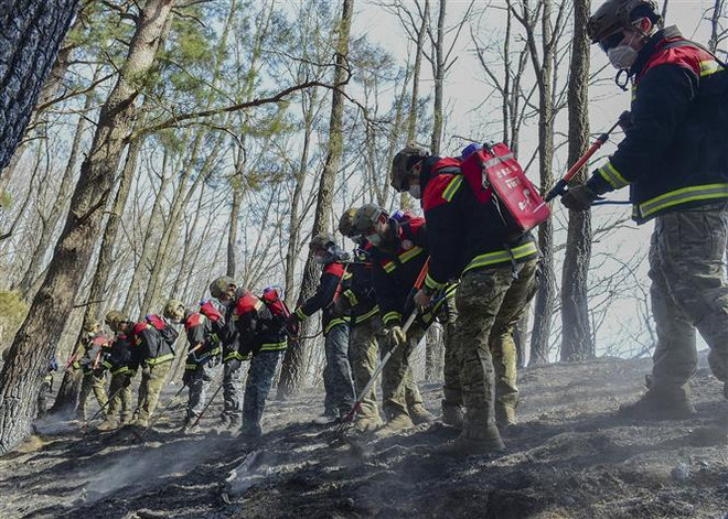 Hàn Quốc dập tắt đám cháy rừng lớn sau hơn 8 ngày bùng phát ảnh 1