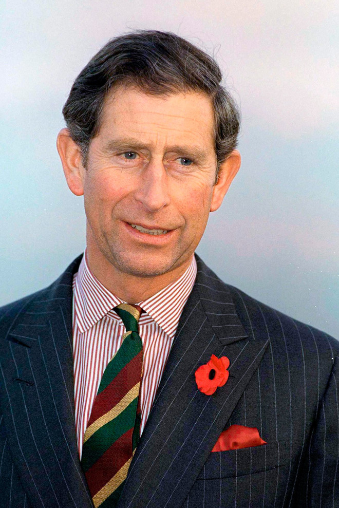 Ý nghĩa đằng sau chiếc ghim cài áo đặc biệt của Hoàng gia Anh ảnh 4