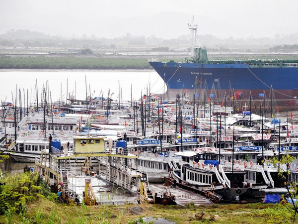 Các tỉnh miền Bắc khẩn trương ứng phó với mưa to, lũ lớn ảnh 1