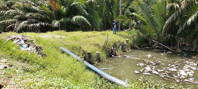 Người dân Bến Tre kiến nghị khắc phục ô nhiễm nguồn nước kênh Xáng ảnh 2