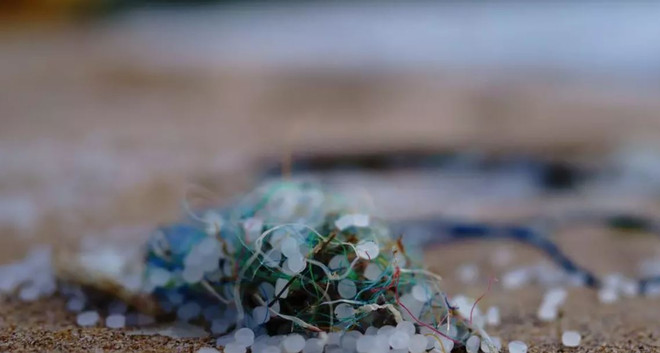 Chuyên gia cảnh báo nguy cơ mắc bệnh ung thư từ hạt nhựa siêu nhỏ ảnh 1