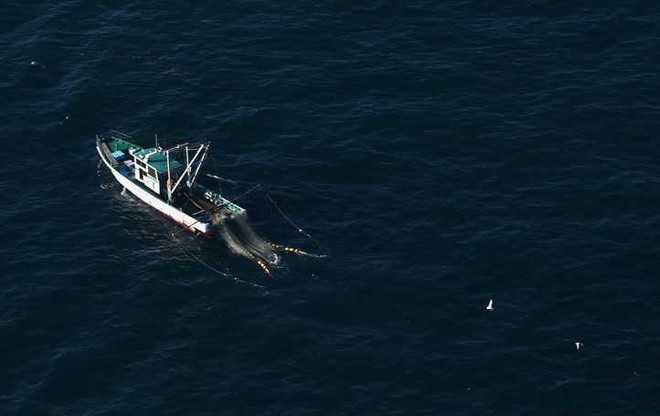 Nga và Nhật Bản tranh cãi về vụ bắt tàu cá tại khu vực tranh chấp ảnh 1