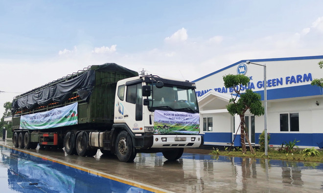 Đàn bò sữa hơn 2.100 con được Vinamilk nhập về từ Mỹ có gì đặc biệt? ảnh 5