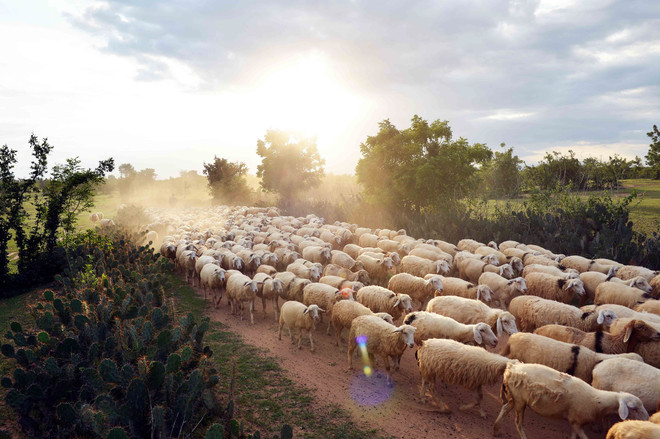 Bắc Bộ ngày nắng nóng trên 36 độ C, đêm có mưa dông diện rộng ảnh 1