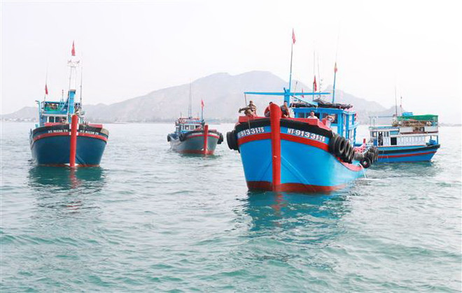 Đội tàu đánh bắt xa bờ của ngư dân Ninh Thuận. (Ảnh: Nguyễn Thành/TTXVN) Ninh Thuận định hướng xây dựng nghề cá phát triển bền vững ảnh 2