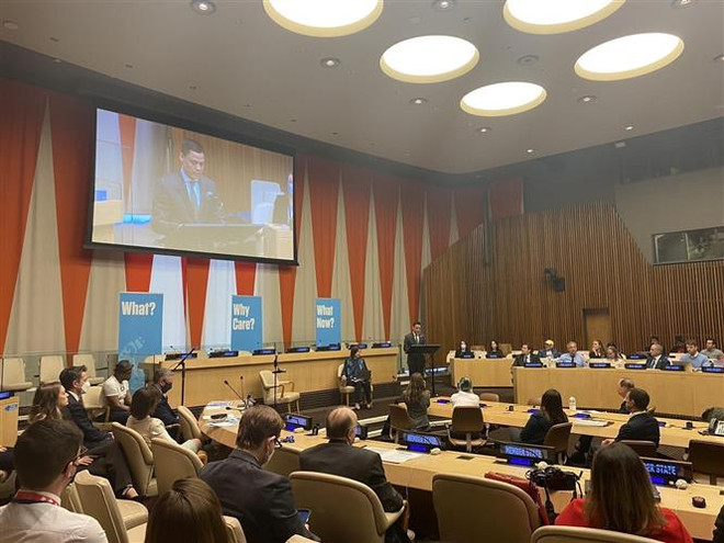 Việt Nam chia sẻ kinh nghiệm khắc phục hậu quả bom mìn tại LHQ ảnh 1