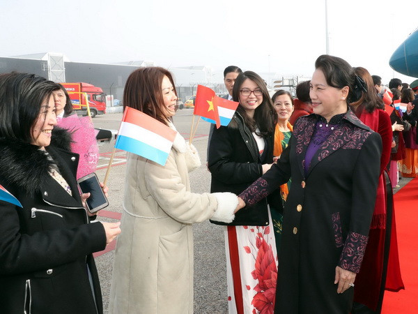 Chủ tịch Quốc hội bắt đầu thăm chính thức Vương quốc Hà Lan ảnh 1