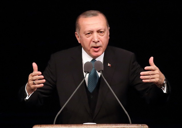 Thổ Nhĩ Kỳ khẳng định quyết tâm gia nhập Liên minh châu Âu ảnh 1