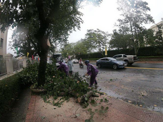Lâm Đồng: Mưa lớn khiến nhiều nhà dân bị tốc mái, cây xanh bật gốc ảnh 1