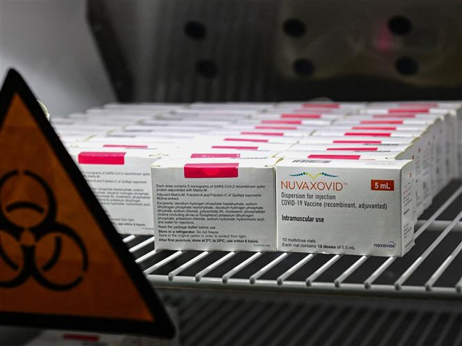 Vaccine phòng COVID-19 của hãng dược phẩm Novavax. (Ảnh: AFP/TTXVN) Novavax cần 6 tháng sản xuất vaccine phòng biến thể mới của SARS-CoV-2 ảnh 1