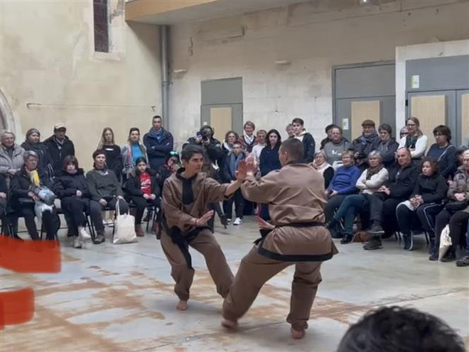 Văn hóa dân tộc Việt Nam tỏa sáng tại thành phố Saintes của Pháp ảnh 4