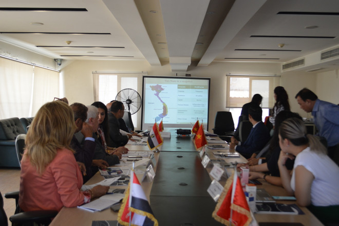 Việt Nam-Ai Cập có nhiều tiềm năng hợp tác thương mại và kinh tế ảnh 1