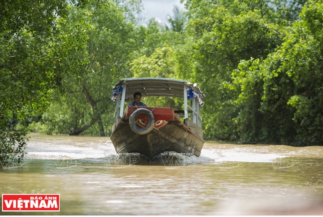 Lợi thế phát triển du lịch của “hòn ngọc xanh” bên dòng sông Tiền ảnh 16