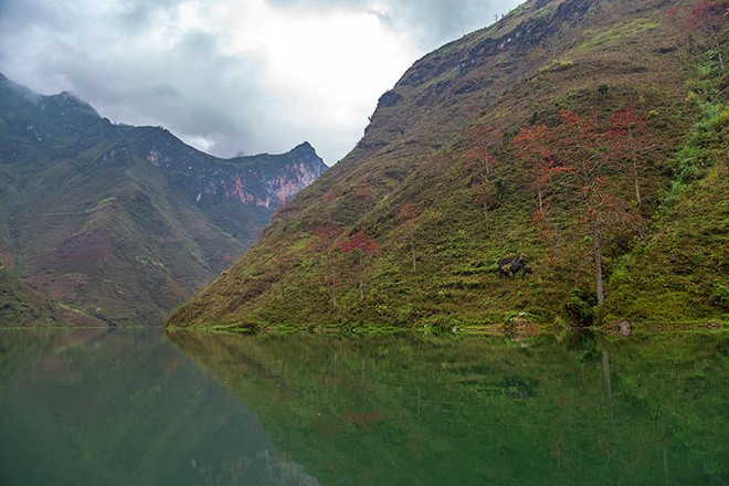 Tu Sản - Hẻm vực kỳ vĩ nhất Đông Nam Á với đàn khỉ mốc đặc biệt ảnh 10