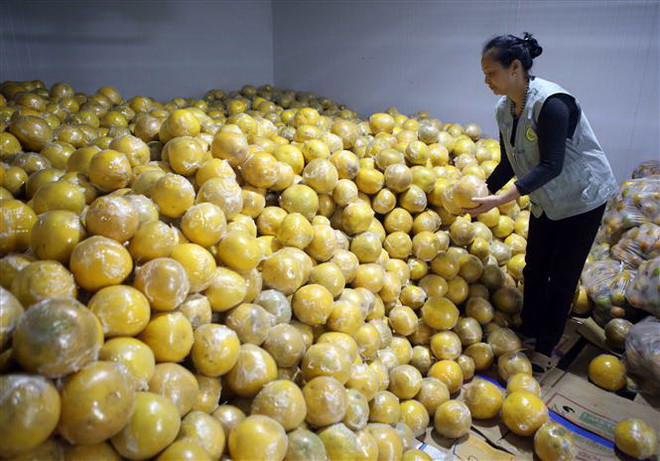 Doanh nghiệp có thể "đặt hàng" vùng nguyên liệu nông sản ảnh 2