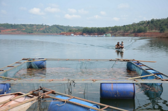 Thừa Thiên-Huế hỗ trợ khẩn cấp ngư dân bị ảnh hưởng do cá chết ảnh 1