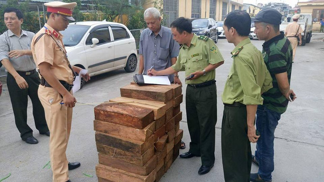 Hà Nội: Phát hiện 250kg gỗ không rõ nguồn gốc trên xe khách ảnh 1