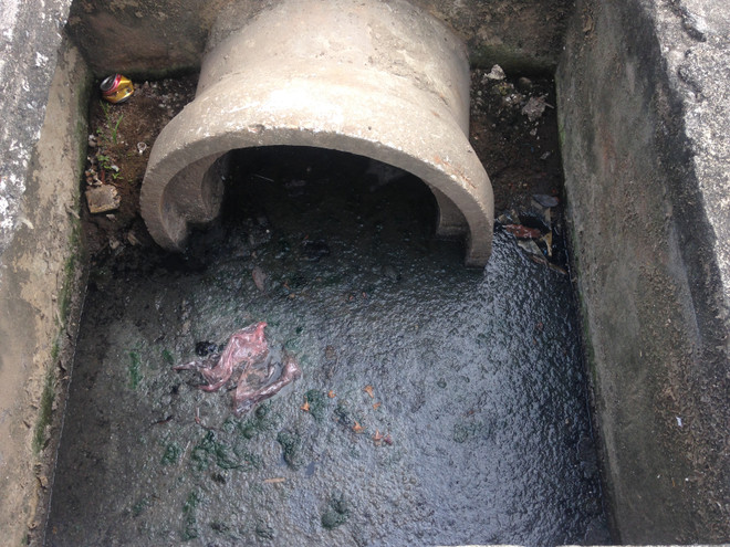 Hà Nội: Hồ Văn Quán tanh hôi váng đầu, người dân đóng cửa "cố thủ" ảnh 4