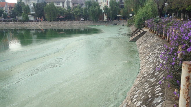 Hà Nội: Hồ Văn Quán tanh hôi váng đầu, người dân đóng cửa "cố thủ" ảnh 1