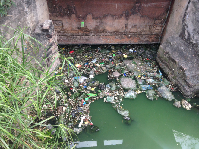 Hà Nội: Hồ Văn Quán tanh hôi váng đầu, người dân đóng cửa "cố thủ" ảnh 3