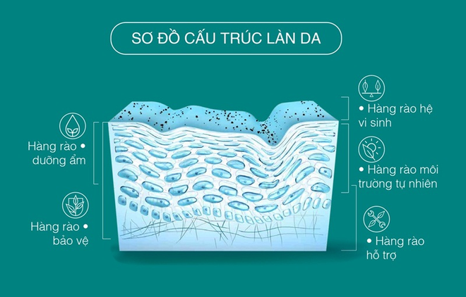 Mỹ phẩm làm sạch da của bạn đã đủ sạch để giúp da khỏe mạnh? ảnh 1