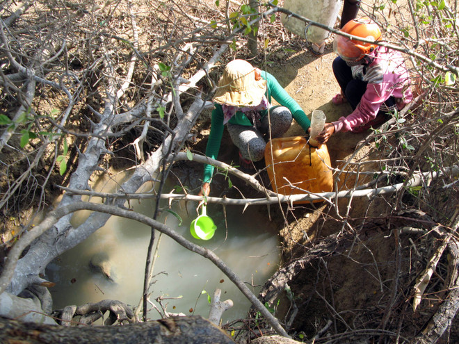 Ninh Thuận công bố tình trạng thiên tai hạn hán tại địa phương ảnh 1