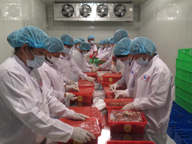 Chuyên gia quốc tế bàn về vấn đề của kinh tế-xã hội Việt Nam ảnh 1