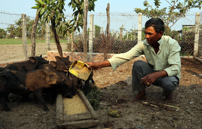 Bỏ hỗ trợ dầu hỏa thắp sáng cho đồng bào dân tộc thiểu số ảnh 1