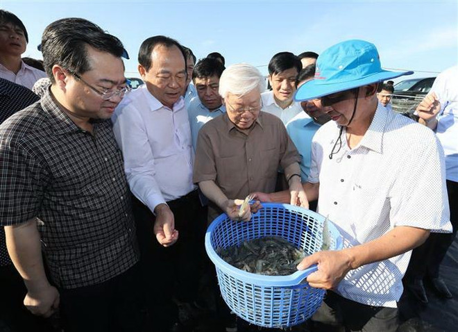 Tổng Bí thư, Chủ tịch nước Nguyễn Phú Trọng thăm khu nuôi tôm công nghiệp ứng dụng công nghệ cao của Công ty Cổ phần Trung sơn ở xã Trung Hóa, huyện Kiên Lương, tỉnh Kiên Giang. (Ảnh: Trí Dũng/TTXVN) Kiên Giang cần phát huy mạnh mẽ, hiệu quả tiềm năng để phát triển ảnh 3