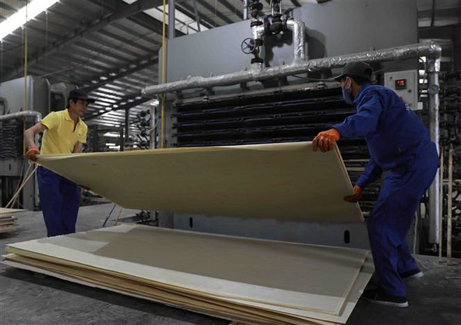 Sẽ áp dụng triệt để công nghệ trong thống kê điều tra kinh tế 2021 ảnh 1