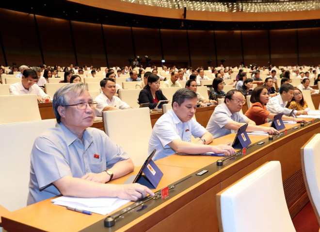 Sửa đổi quyền bảo hộ sở hữu trí tuệ để thực thi hiệu quả CPTPP ảnh 1