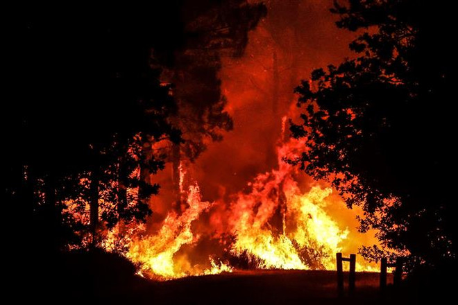 Mỗi phút thế giới mất đi vùng rừng có diện tích bằng 16 sân bóng đá ảnh 1