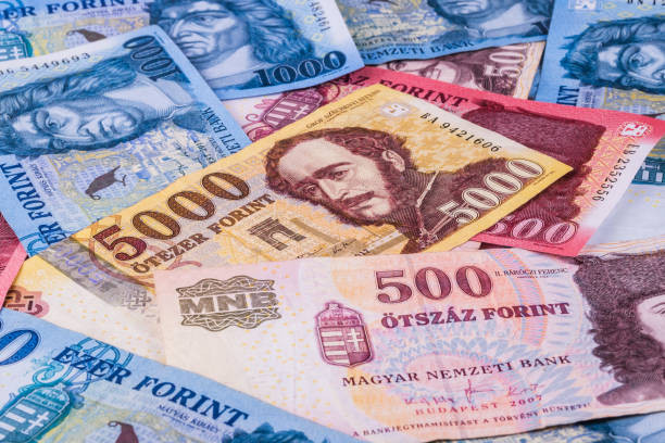 Đồng tiền các nước Trung và Đông Âu chịu sức ép khi kinh tế giảm tốc ảnh 1