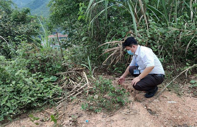 Hàng chục hộ dân ở Nghệ An thấp thỏm nỗi lo sạt lở đồi ảnh 3