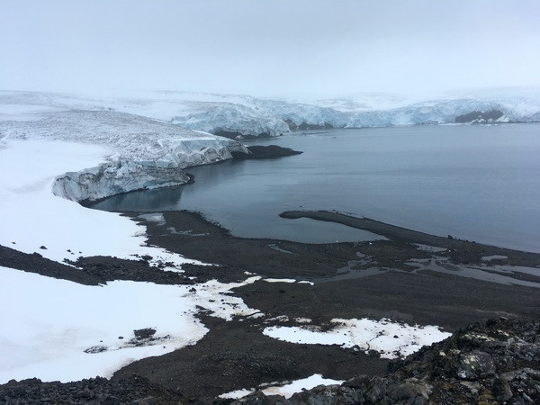 Báo động môi trường biển hoang dã sẽ biến mất trong 50 năm nữa ảnh 1