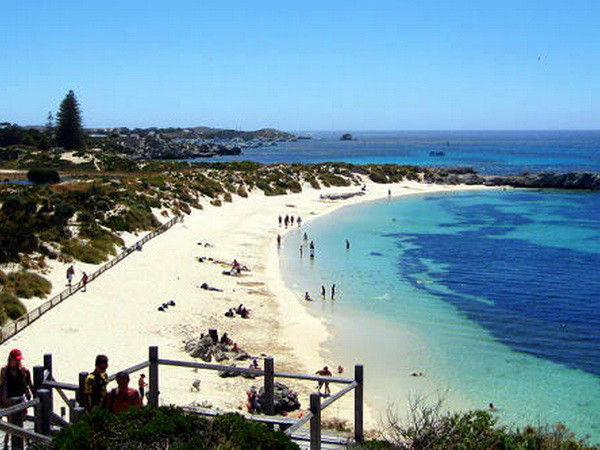 Australia đặt hàng loạt ghế băng làm từ túi nhựa tái chế tại Rottnest ảnh 1