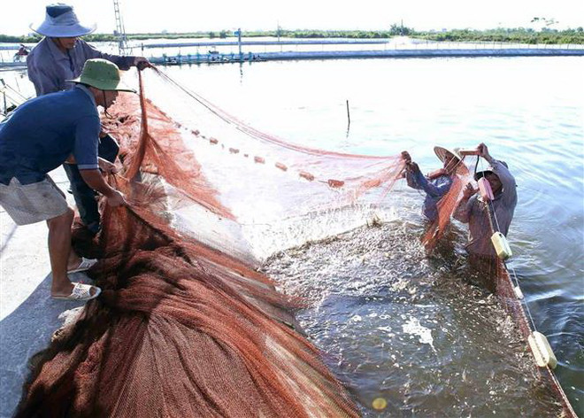 Ba khâu đột phá nhằm đưa Nam Định trở thành tỉnh phát triển khá ảnh 2