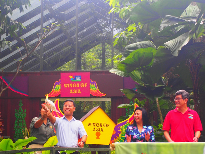 Singapore: Ra mắt khu bảo tồn chim lớn nhất khu vực châu Á ảnh 1