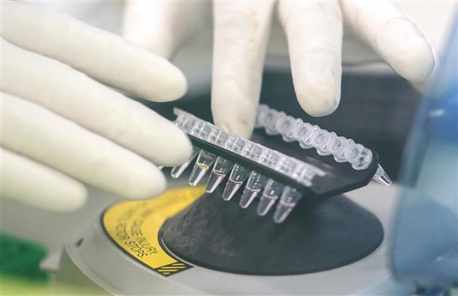 Dịch COVID-19: Hãy kiểm chứng chính xác thông tin trước khi hành động ảnh 1