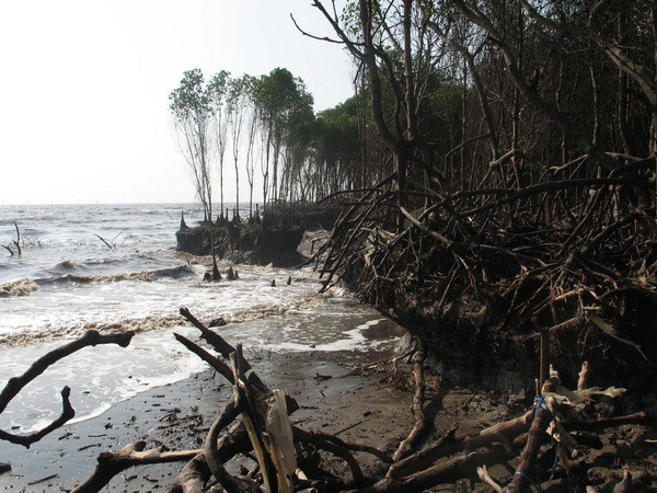 Tỉnh Kiên Giang có hơn 380km bờ sông, bờ biển bị sạt lở ảnh 1