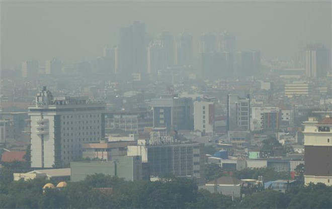 Khói mù ô nhiễm bao phủ Jakarta, Indonesia, ngày 24/7/2019. (Ảnh: AFP/TTXVN) ASEAN cần thúc đẩy hợp tác sử dụng bền vững than bùn, giảm khói mù ảnh 1