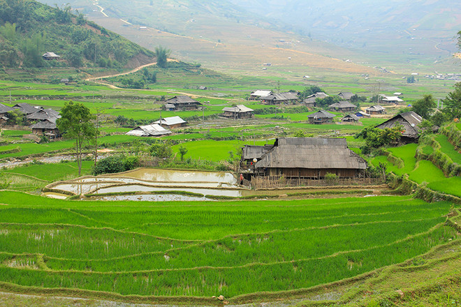 Mù Cang Chải đẹp như tranh vẽ vào mùa những con nước đổ ải ảnh 13